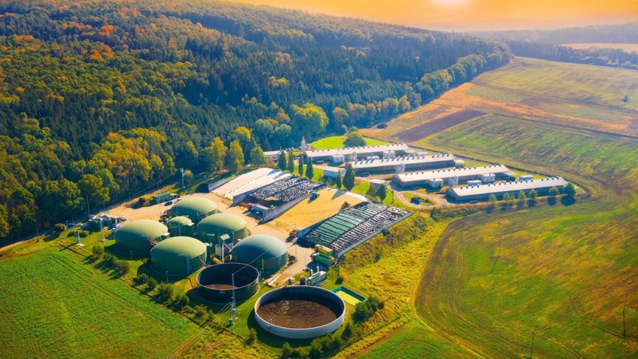 Biofuels alternatives